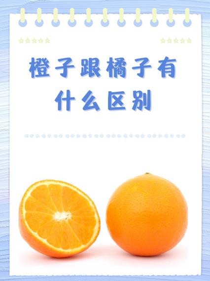 橘子就是橘子橙子就是橙子截图
