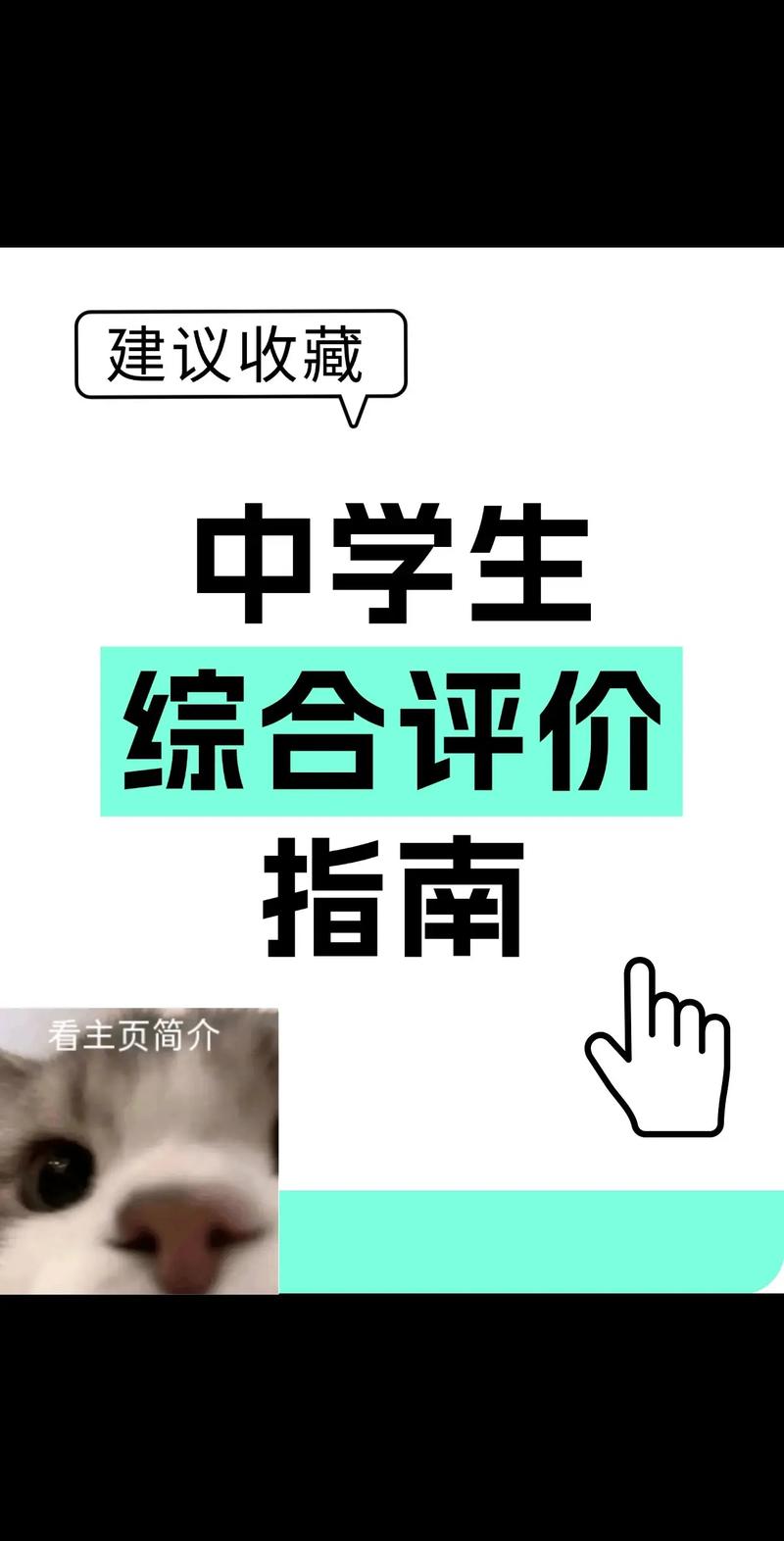 综评学生端怎么评价得高分
