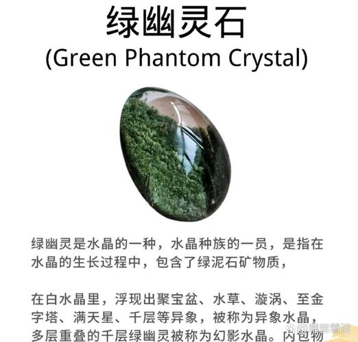 究极绿宝石5.5进化石分布缩略图