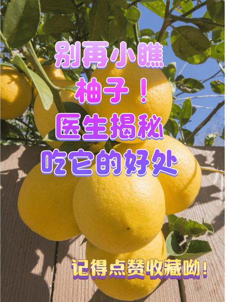 柚子对身体的好处图标