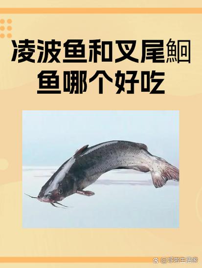超脑神探免广告破解版不是复古鱼图标
