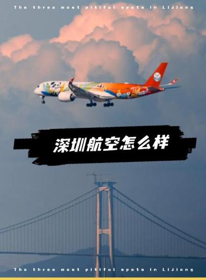 深圳航空官网订票入口游戏截图