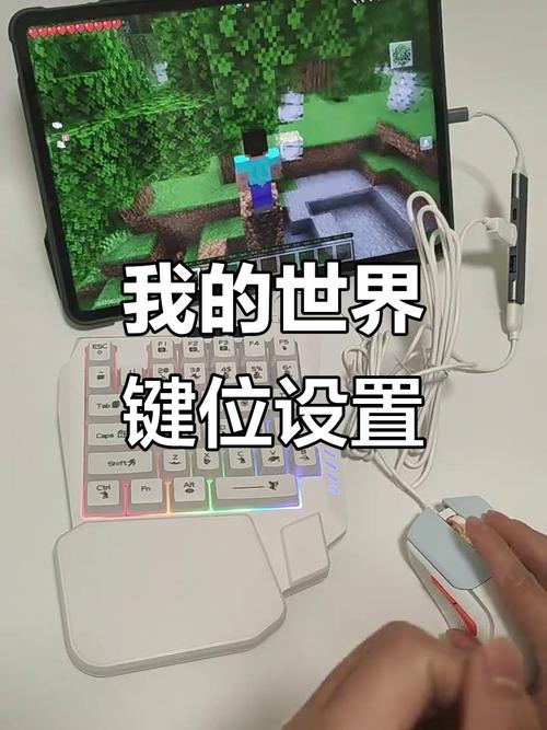 使用键鼠玩国际版我的世界截图