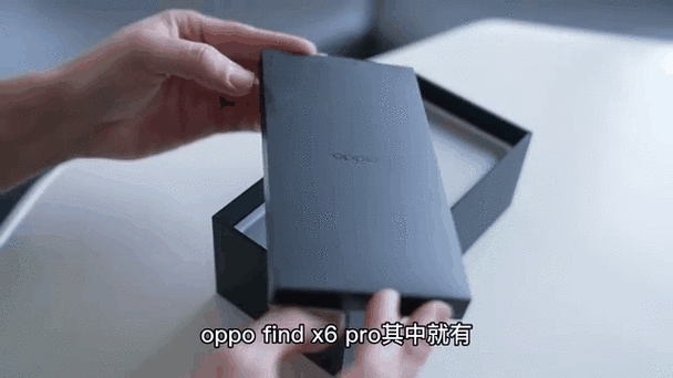 oppofandx6pro参数游戏截图