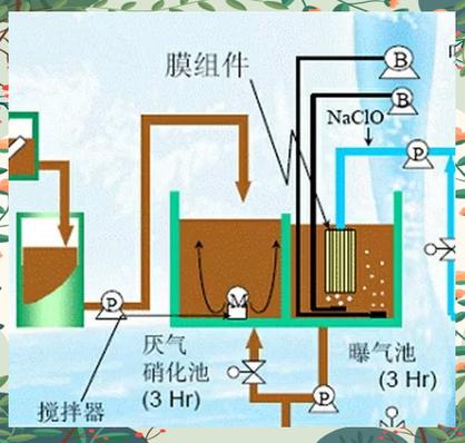 地球上的污水都去哪了截图