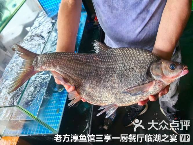 一个手机号开两个闲鱼