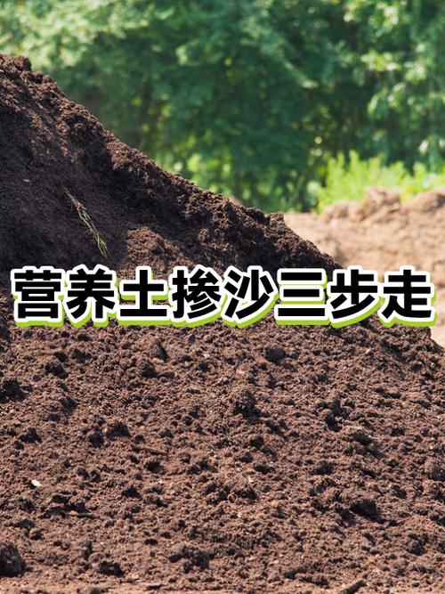 营养土掺沙的正确方法截图