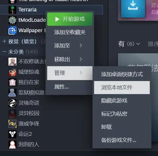 泰拉瑞亚本地联机是什么意思截图