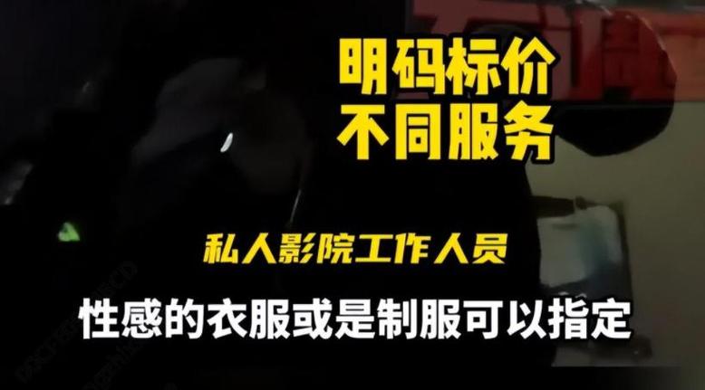 掌上影院在线观看