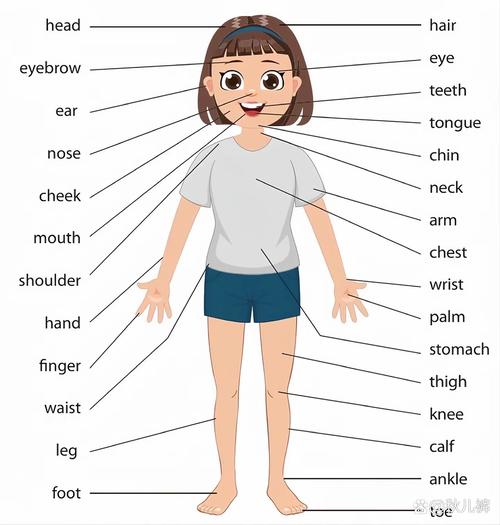 Mybody正确发音截图