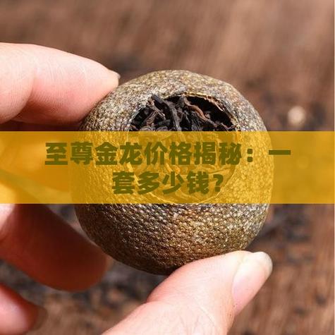 至尊金龙多少钱游戏截图