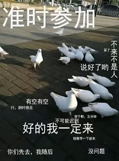 咕咕咕表情包gif