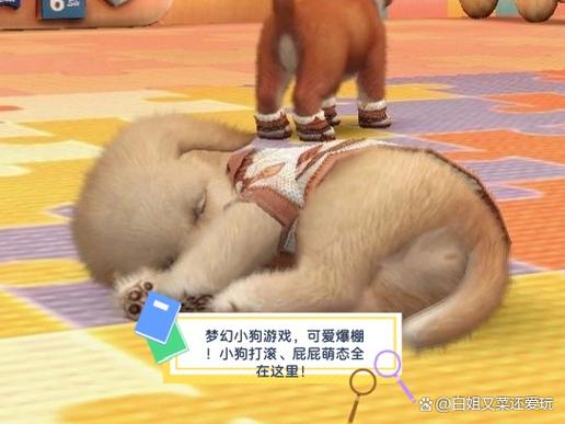 梦幻小狗停服了在哪可以玩截图