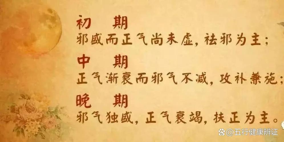 身体邪气的症状表现截图