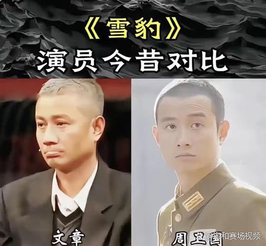 雪豹文章全集40集免费看完整版