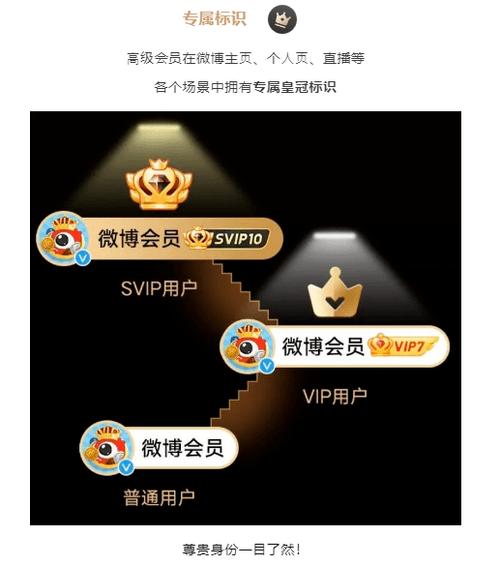 十三社交会员图标