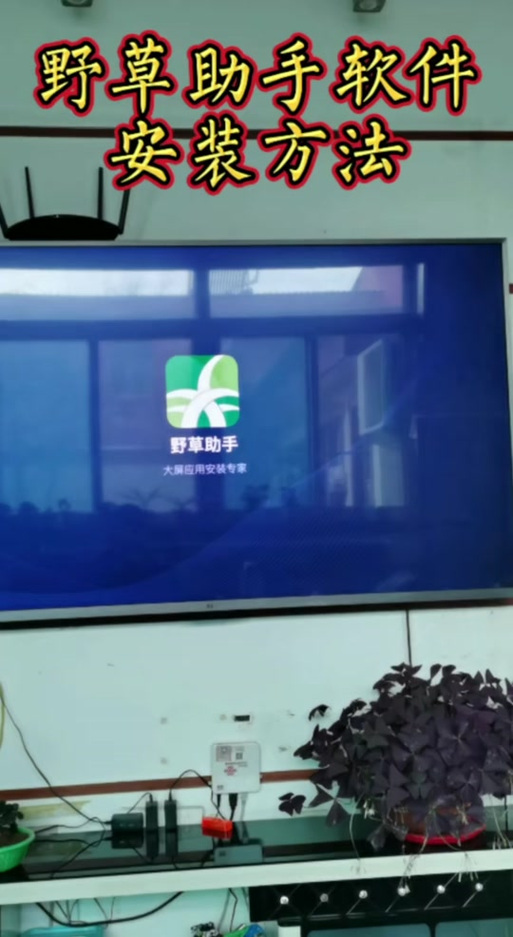 野草助手小米版安装包游戏截图