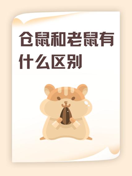 硕鼠和老鼠的区别游戏截图