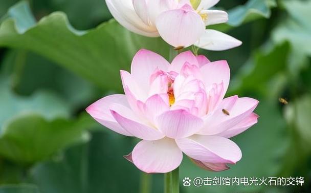 手机有消息提示音但没看见信息截图
