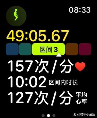 苹果手表跑步心率图标显示不出