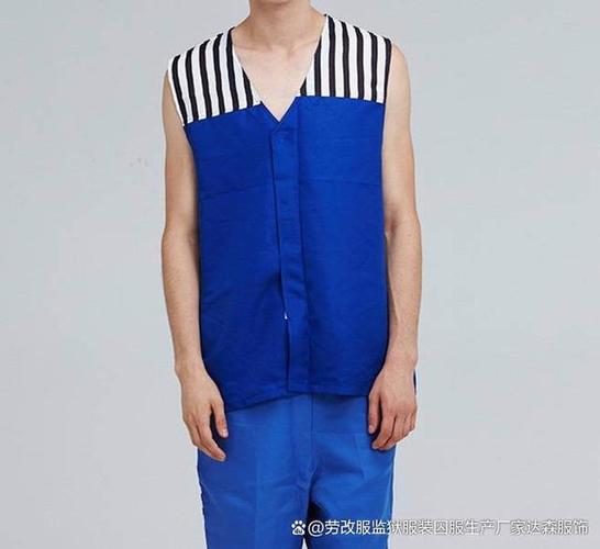 穿蓝色囚服是什么罪截图