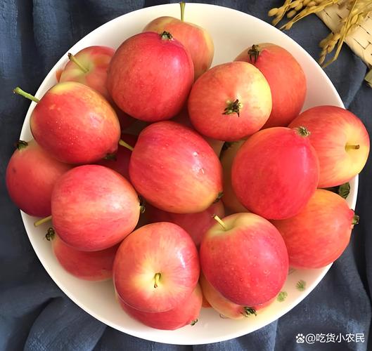 沙果的做法大全