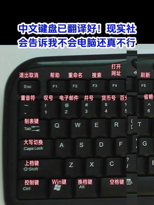 中文输入法能不能输入英文缩略图