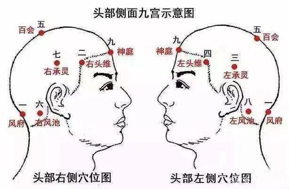 微信怎样发九宫格图片图标
