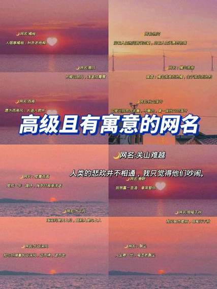 用橘子做网名的含义缩略图