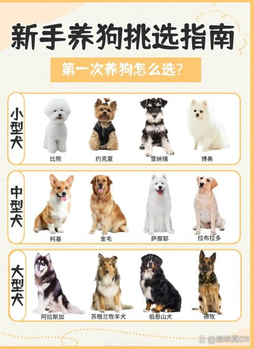 养狗怎么赚钱截图