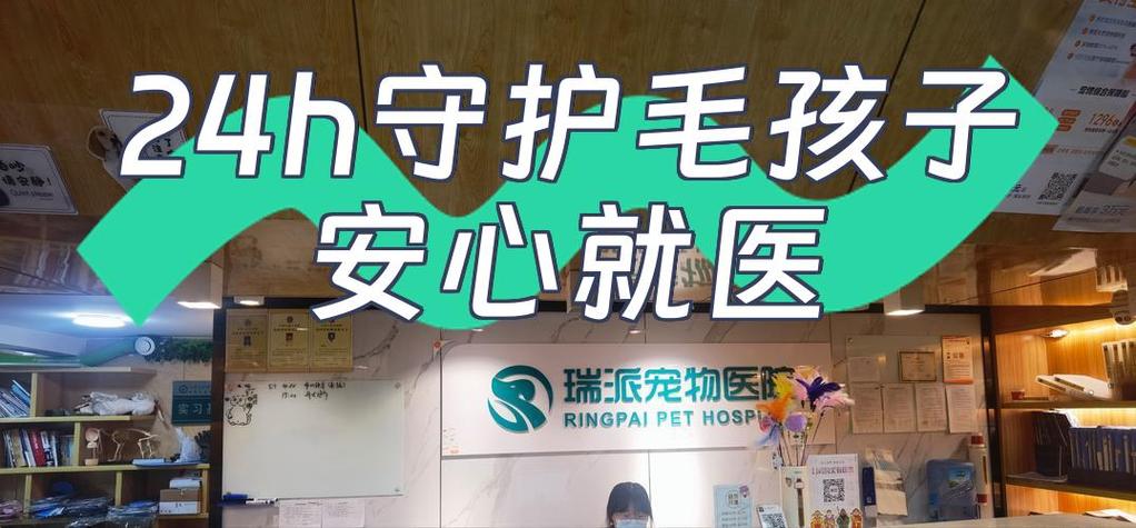 24h守护脚本截图