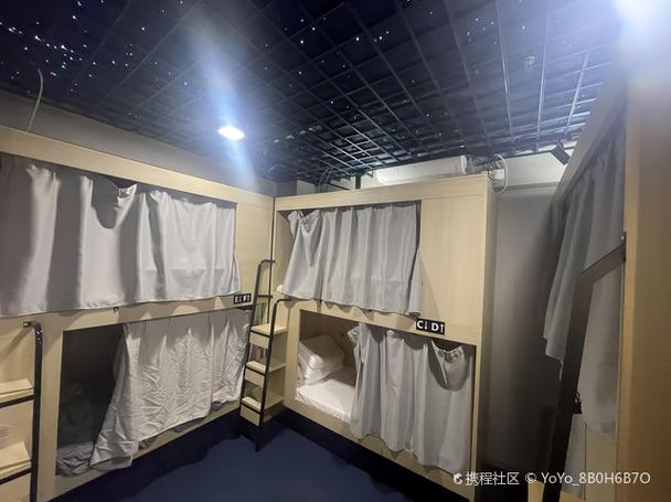 年兽介绍截图
