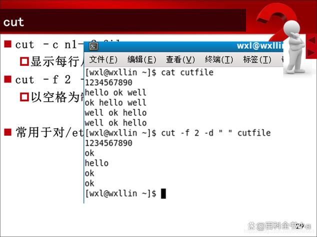 windows shell命令缩略图