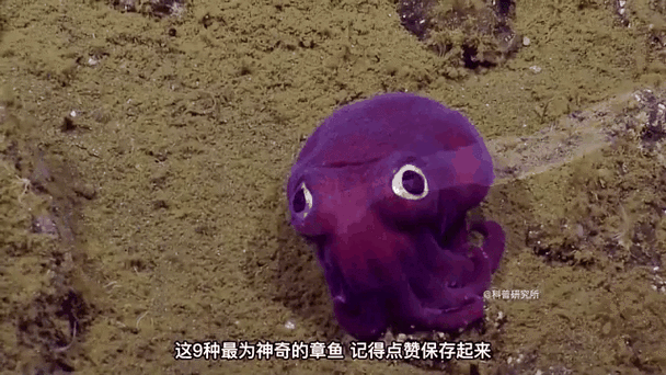 章鱼快讯app下载缩略图
