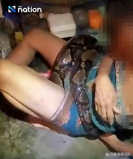 泰国蟒蛇吃人的视频游戏截图