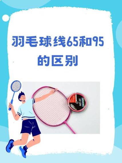 66线和95线有什么区别截图