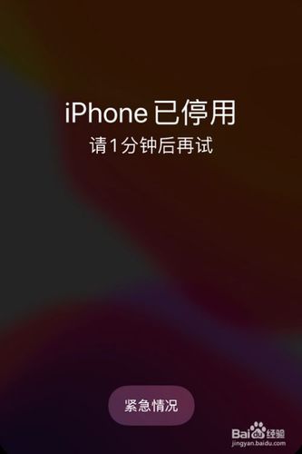 苹果时间限额忘记密码图标