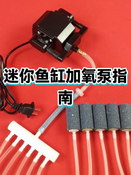 养鹦鹉鱼用打氧气吗缩略图