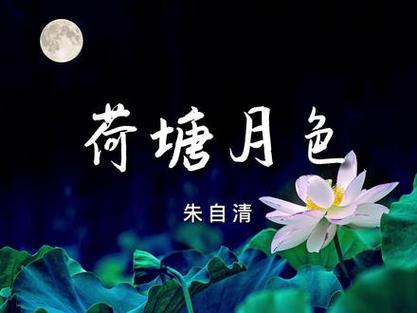 荷塘月色朗诵原文董卿
