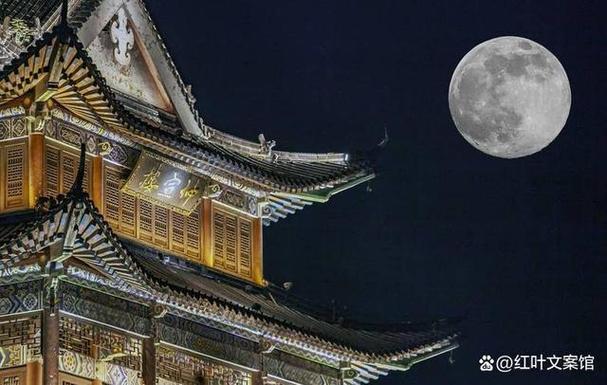 日往菲薇,月来扶疏截图