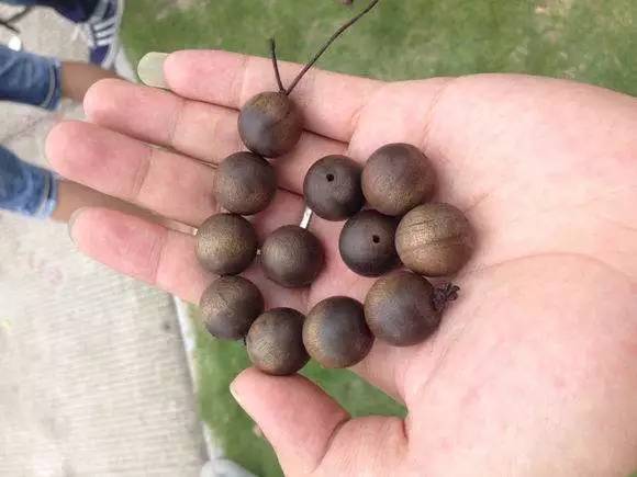 手串突然散落一地寓意截图