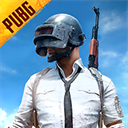 pubg测试服官方正版下载缩略图
