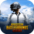 国际服pubg群星直装游戏安卓版 v2.3.1缩略图