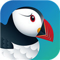 puffin浏览器官网版正式版下载游戏截图