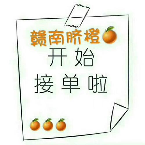 橘子接单打字软件图标