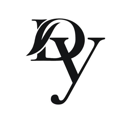 DY直装v3.3.0下载