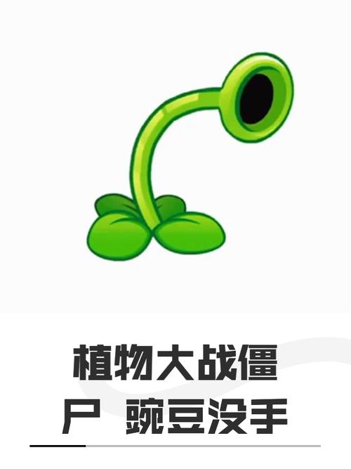 豌豆直装V2下载