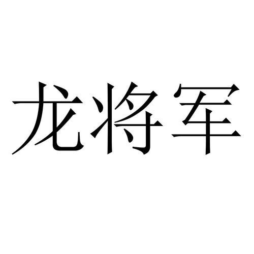 龙将军直装v14