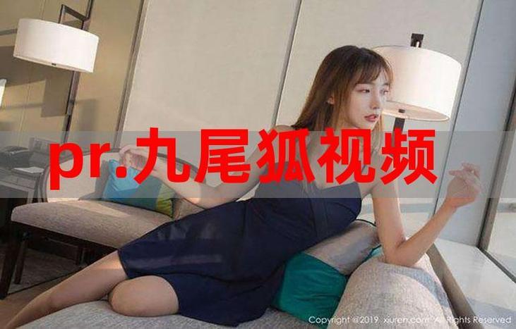 pr九尾狐狸网站游戏截图