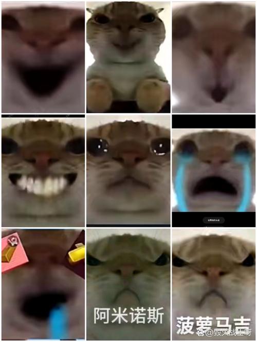 地铁逃生的鼠鼠动画游戏截图